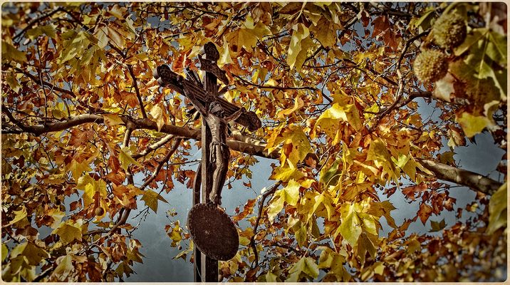 u n v e r g e s s e n