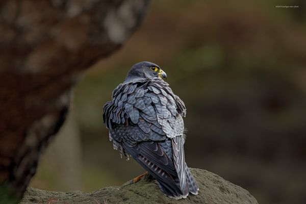  " u n w e i t . v o m . H ö l l b a c h g s p r e n g "