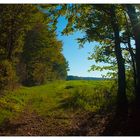 U-und de-her He-herbst beginnt.... - gehe deinen Weg...