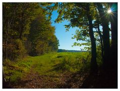 U-und de-her He-herbst beginnt.... - gehe deinen Weg...