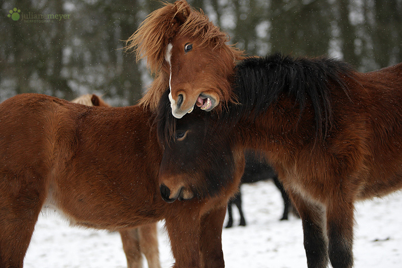 Uaaah - Moooontag!