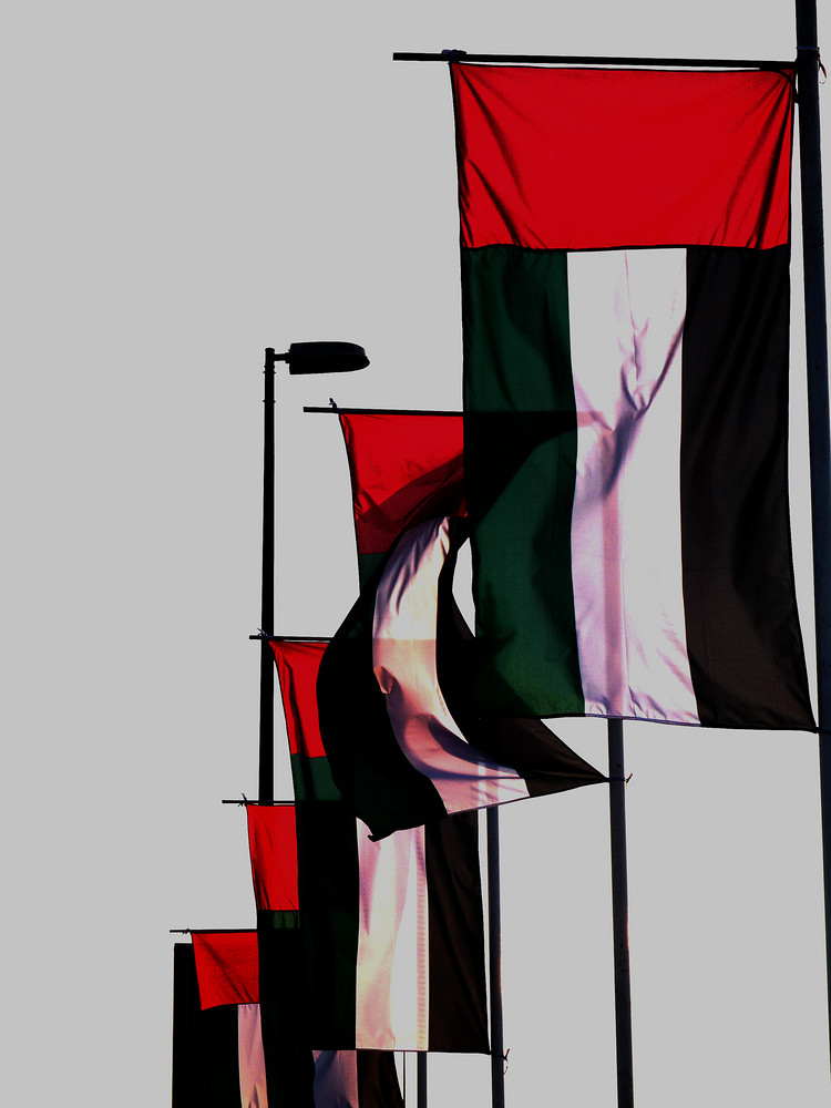 UAE Flag