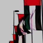 UAE Flag