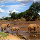 Uaso Nyiro River im Samburu Nationalpark/Kenya