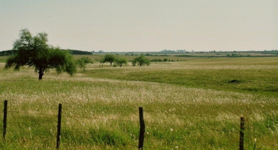 UBAJAY, ENTRE RIOS