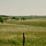 UBAJAY, ENTRE RIOS