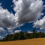 Uber den Wald