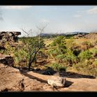 Ubirr, Landschaft