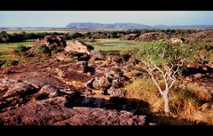 UBIRR ROCK