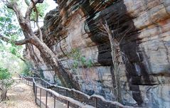 Ubirr rockpainting site