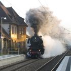 Ubstadt- Weiher erwacht...