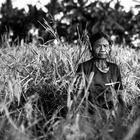 Ubud Fields