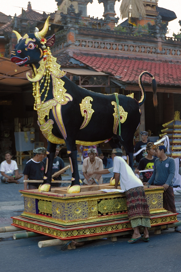 Ubud hosts royal cremation with a lembu