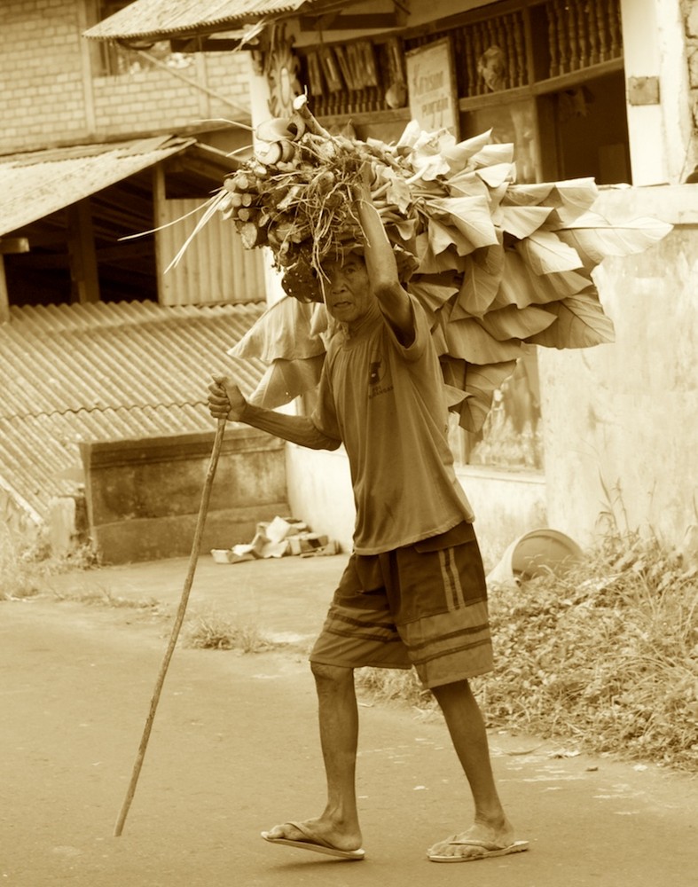 Ubud old Man at work