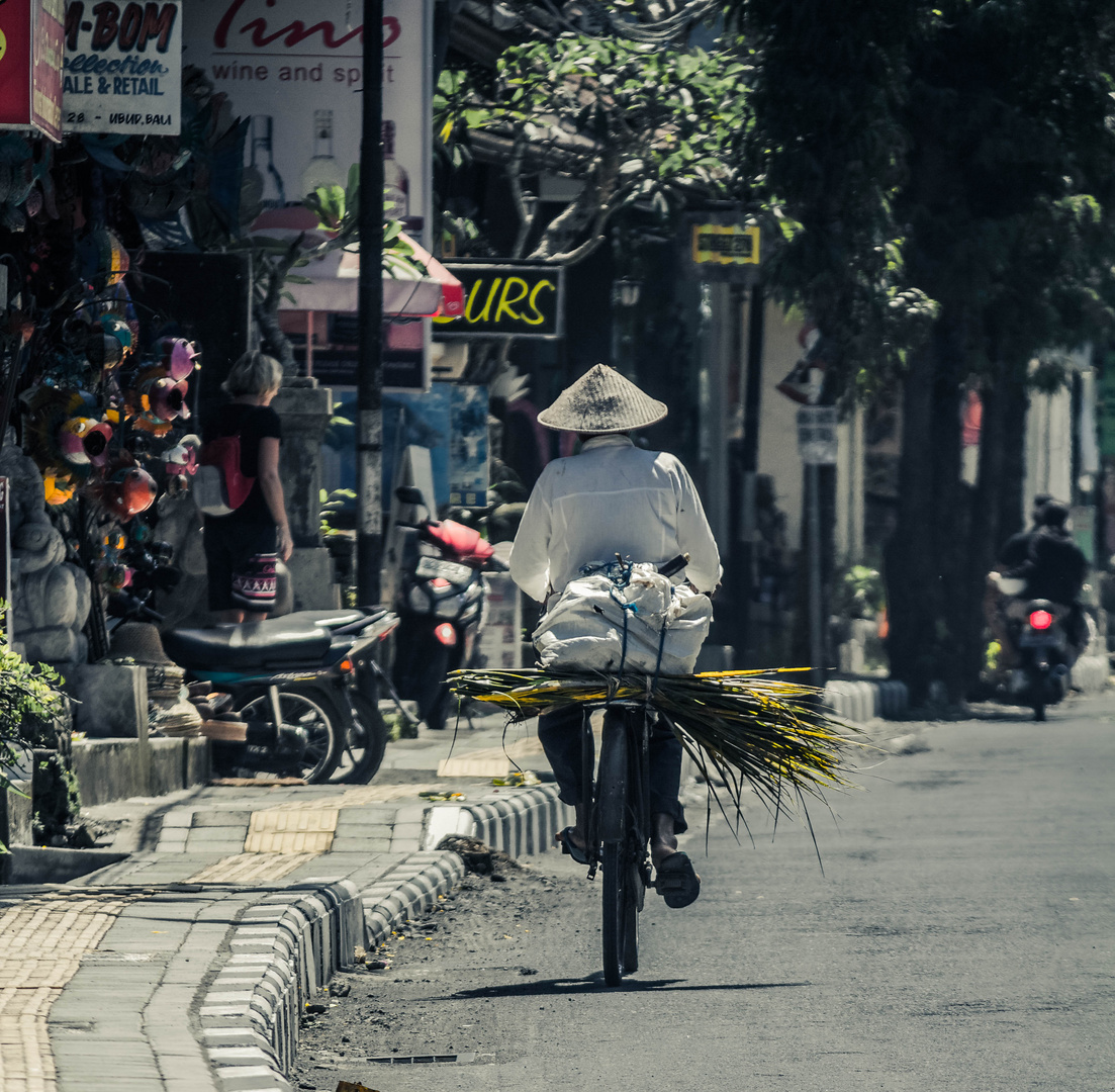 Ubud street