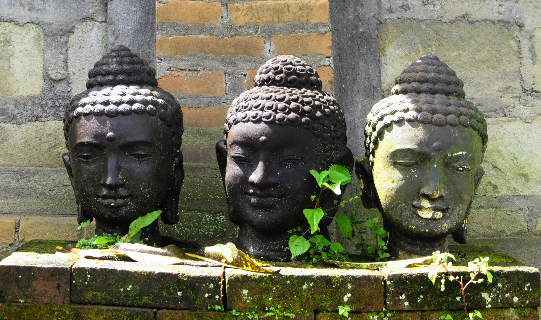 Ubud´s Buddas