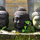 Ubud´s Buddas