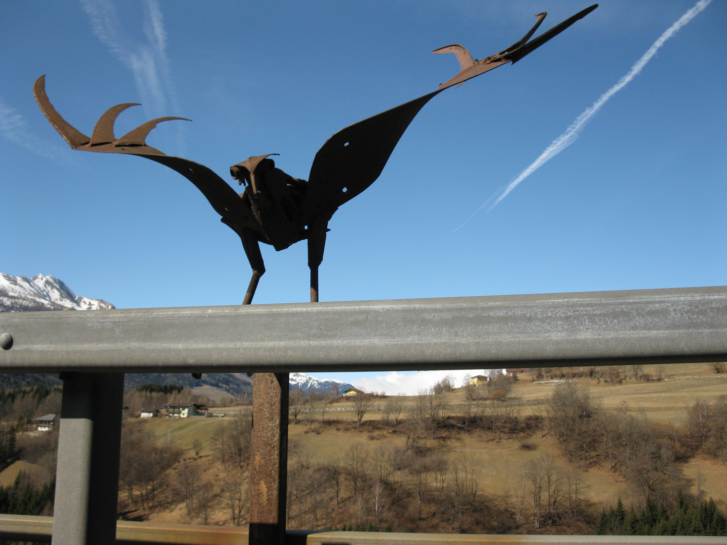 Uccello sul guardrail