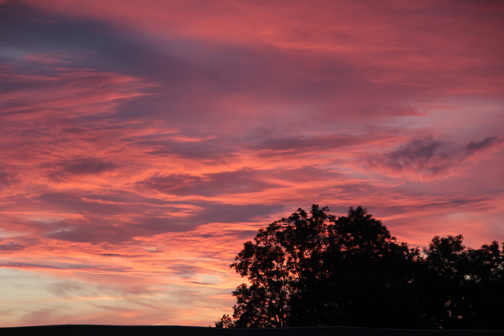 uckermärker abendsonne!