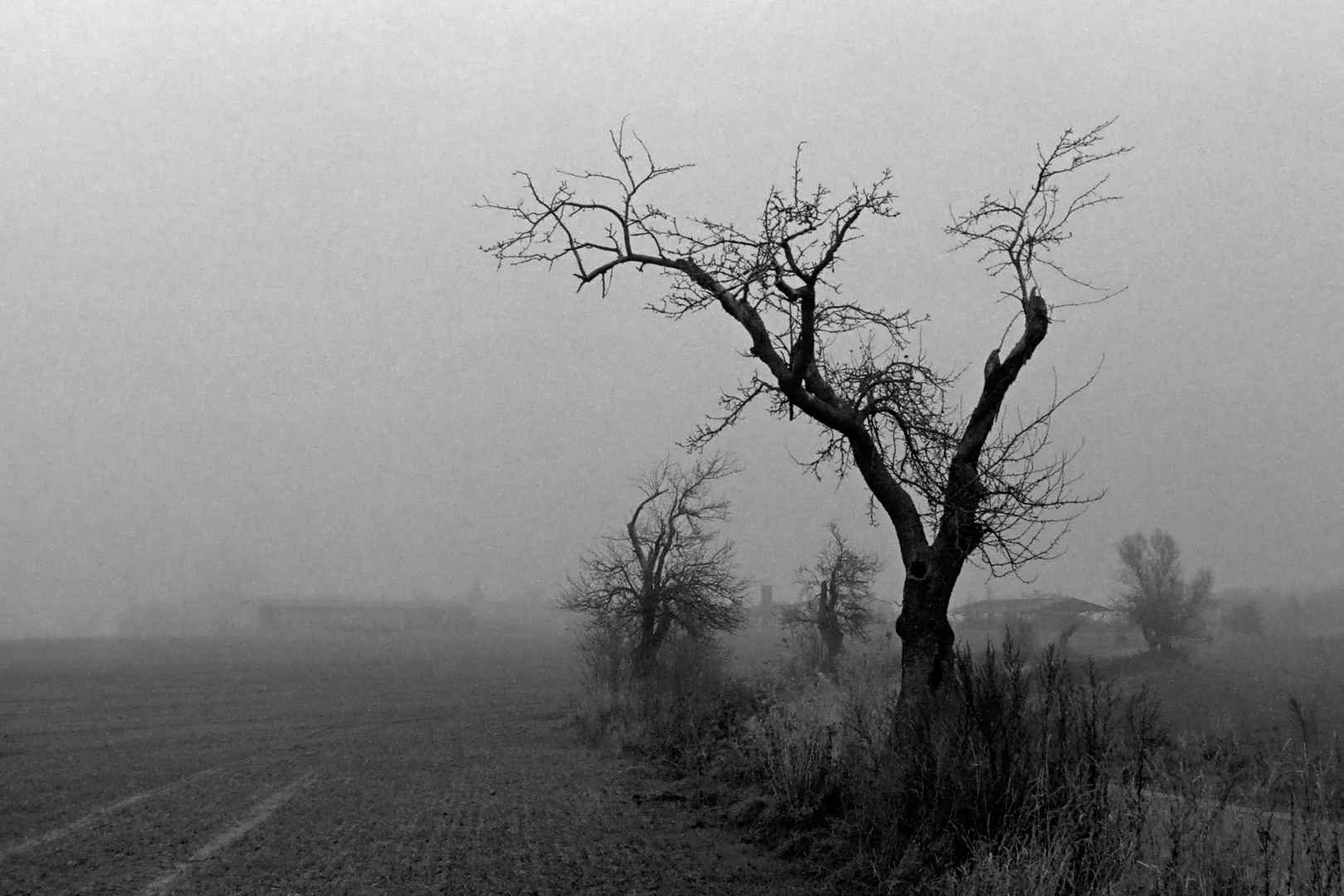 Uckermärkische Landschaft