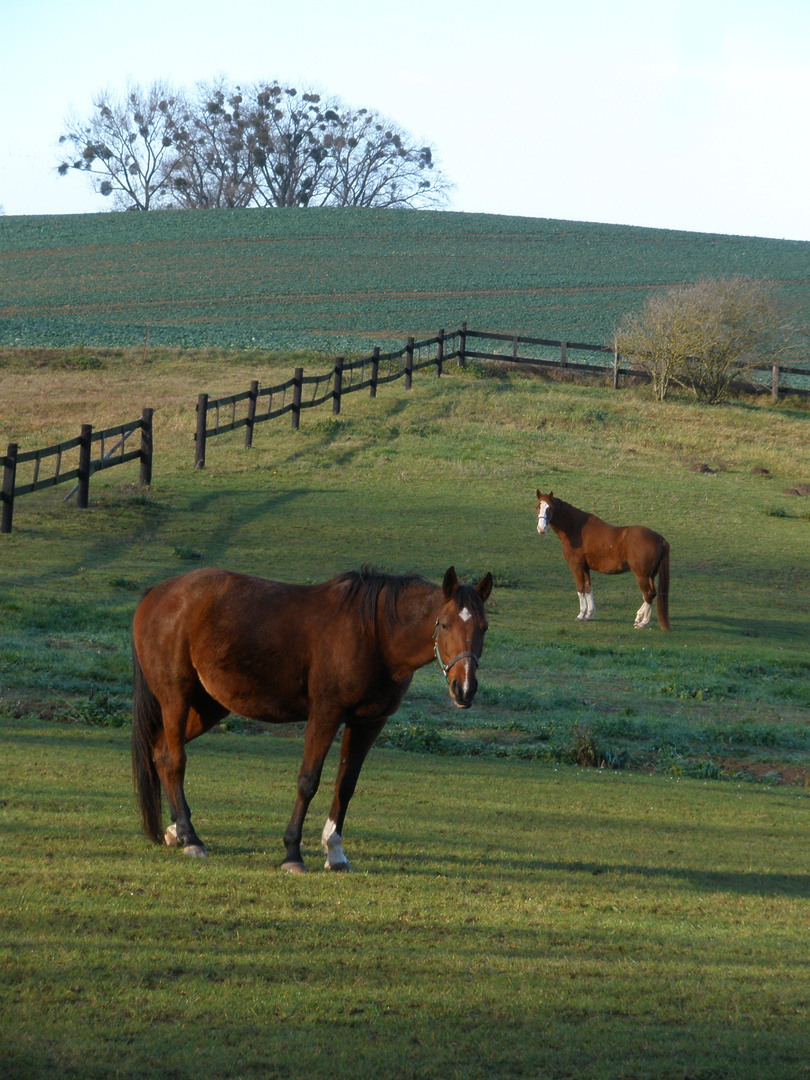 Uckermark