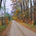 Uckermark 2021 Verlassen liegen die Wälder 