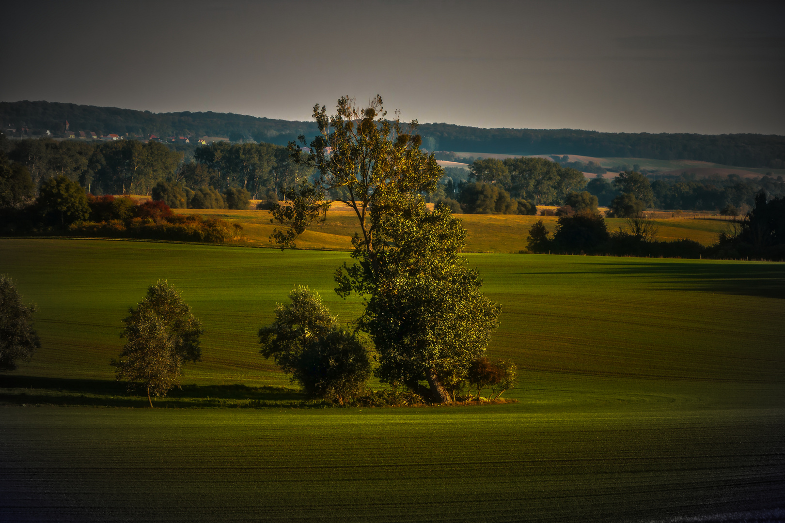 Uckermark