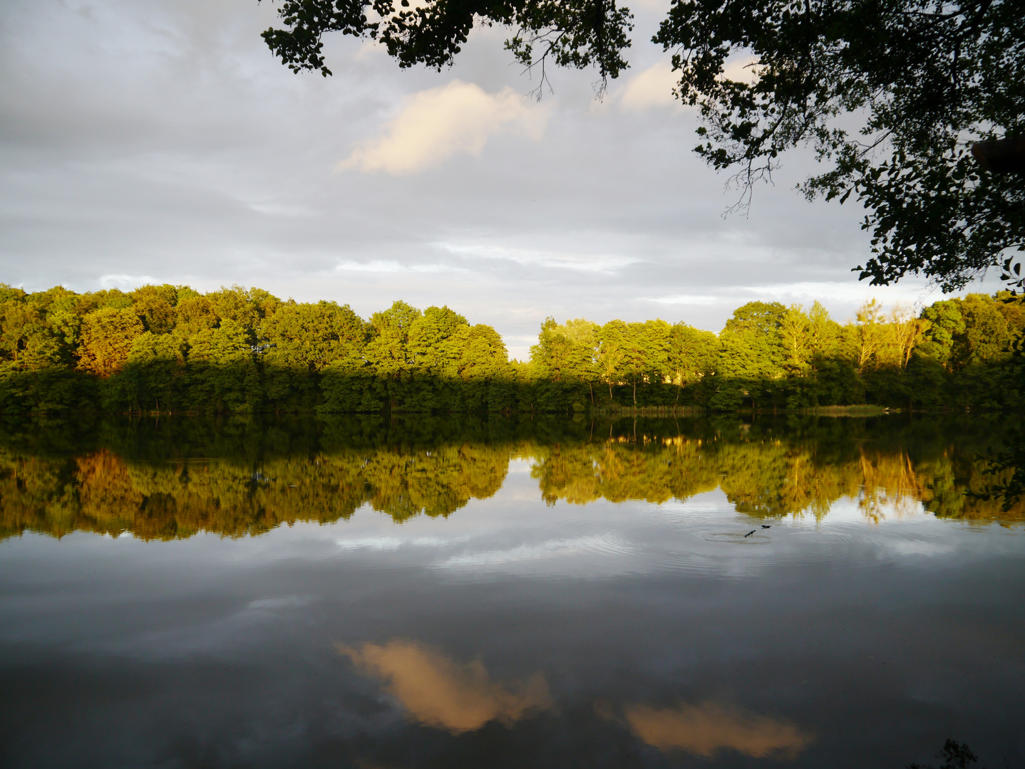 Uckermark