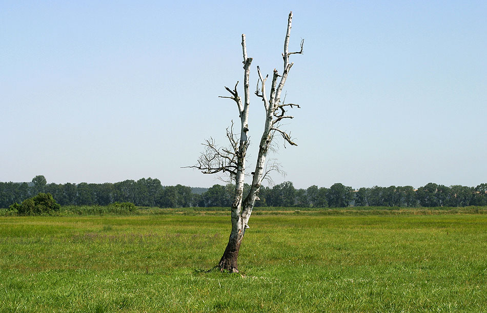 Uckermark