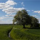 Uckermark - Grün