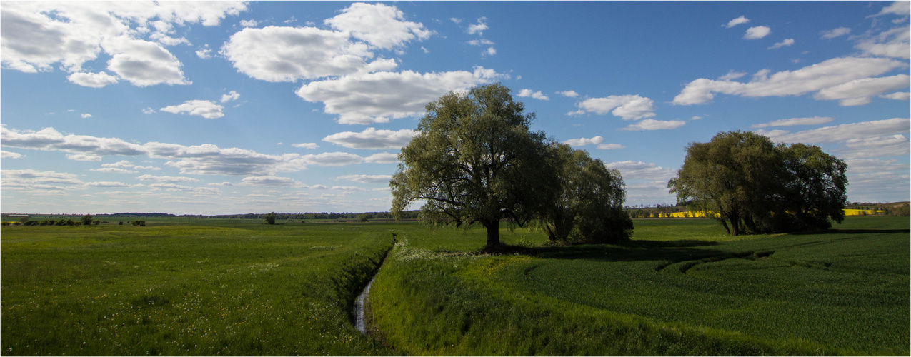 Uckermark - Grün