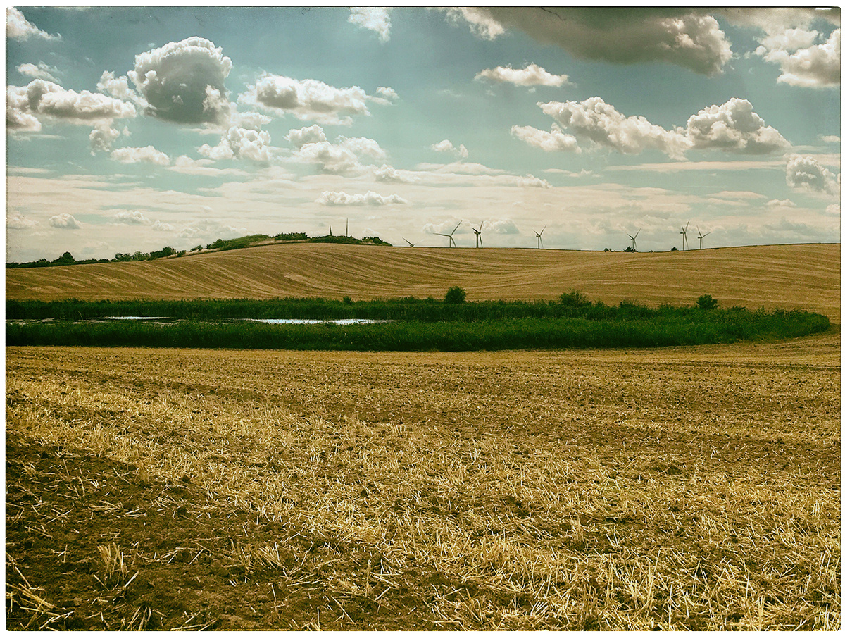 Uckermark im Juli