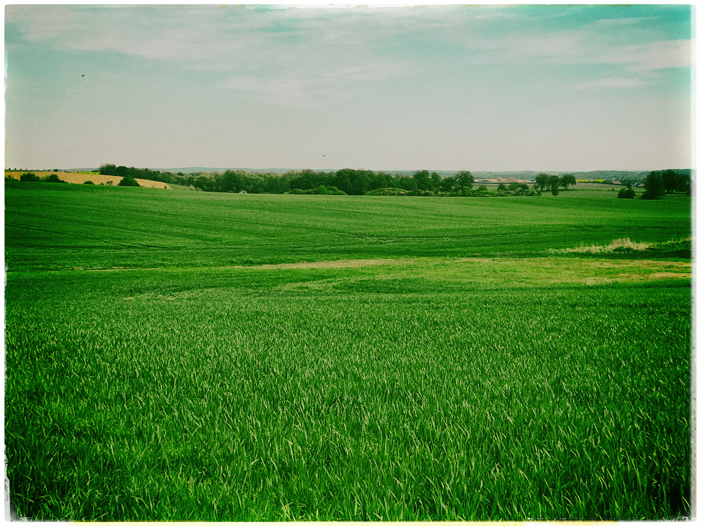 Uckermark im Juni