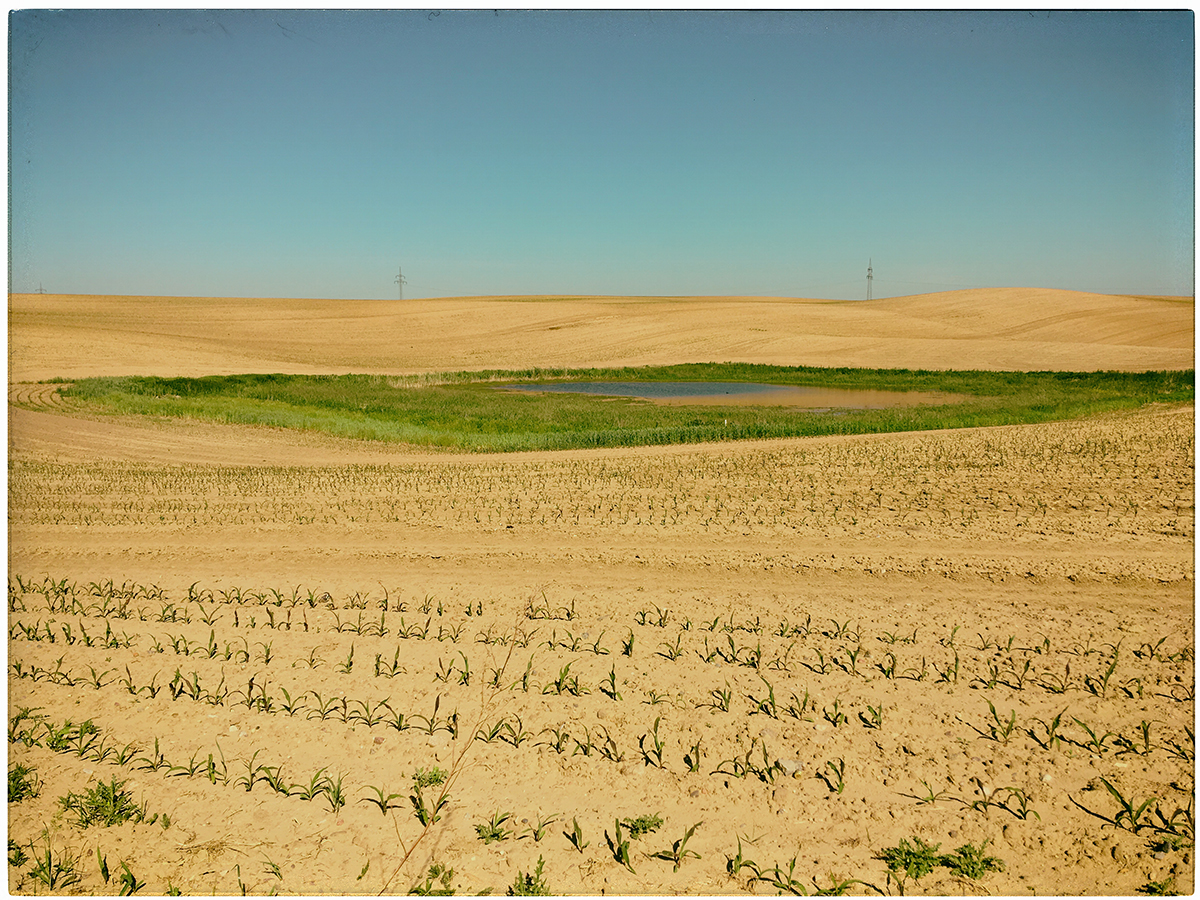 Uckermark im Mai