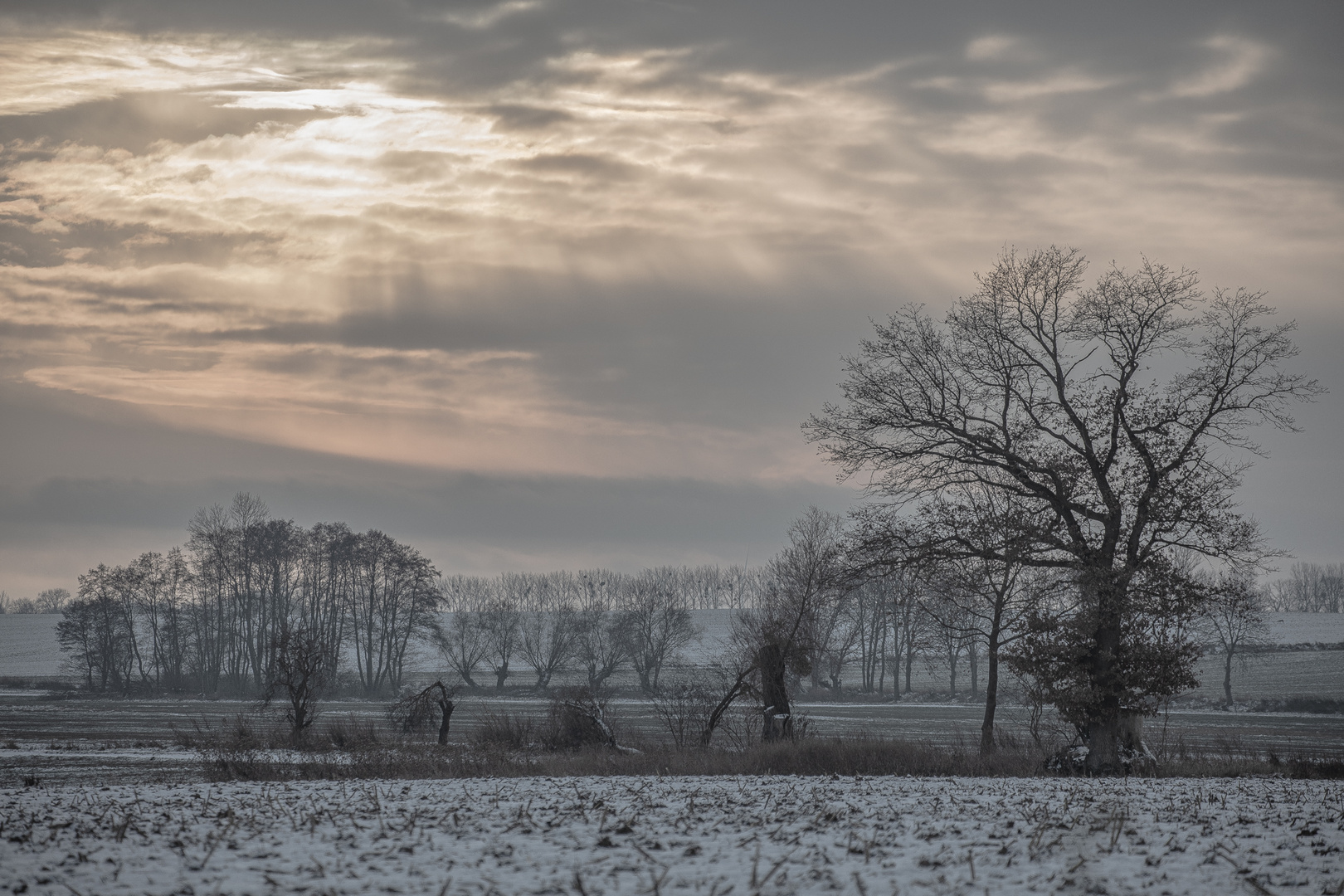 Uckermark im Winter