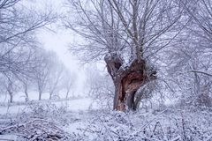 Uckermark im Winter1