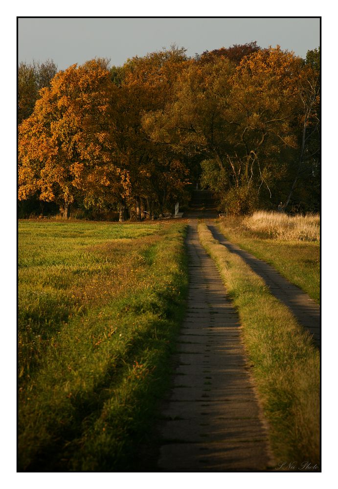 Uckermark - Polder