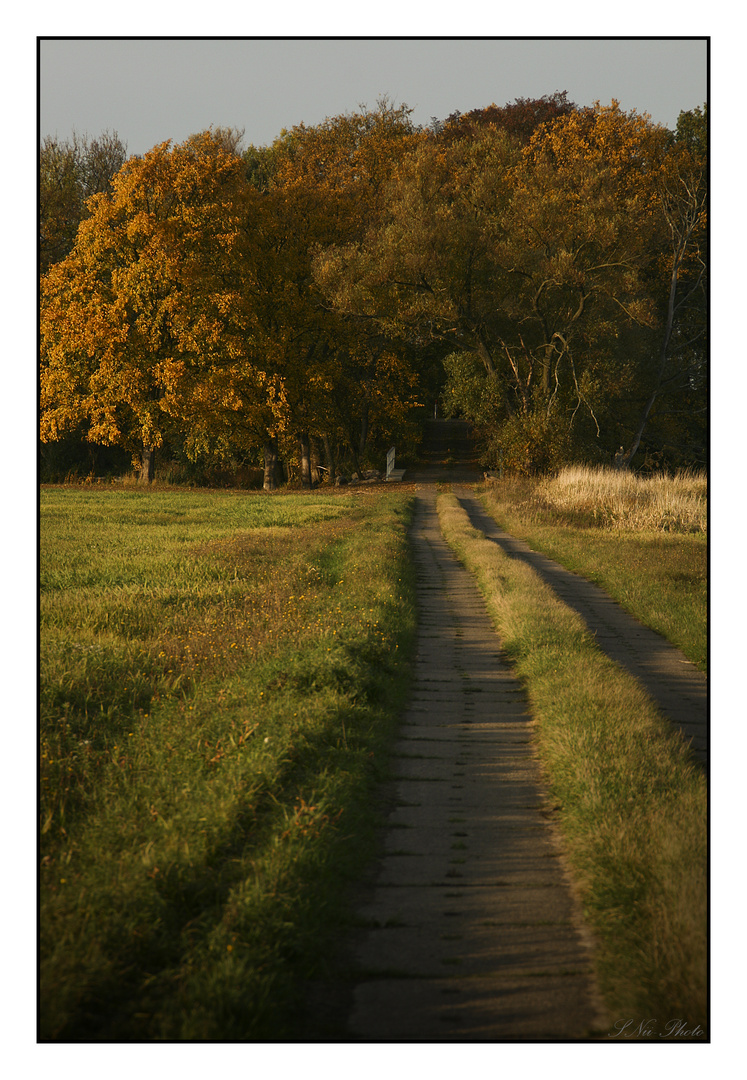 Uckermark - Polder