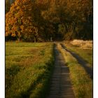 Uckermark - Polder