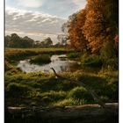 Uckermark Polder