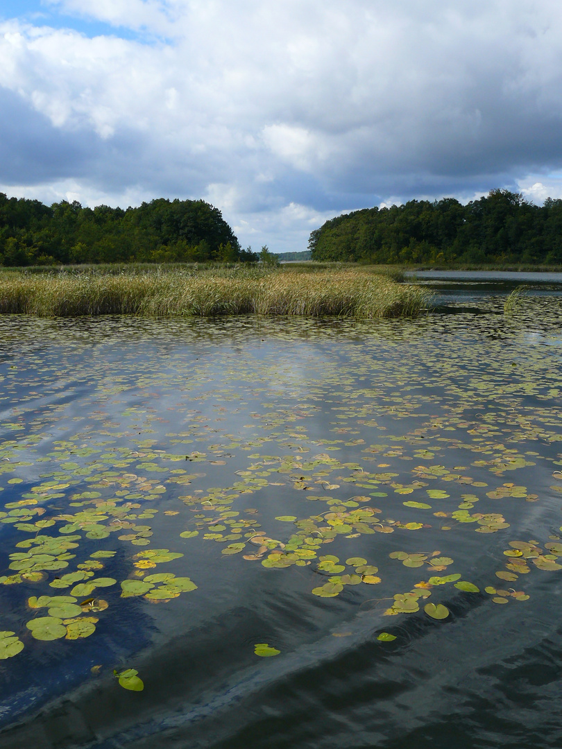 Uckermark4