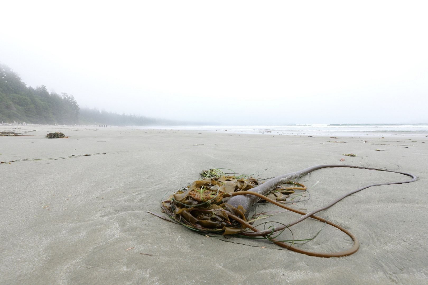 Ucluelet, Vancouver Island