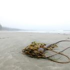 Ucluelet, Vancouver Island