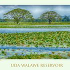 Uda Walawe Resevoir