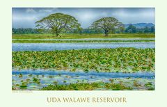 Uda Walawe Resevoir