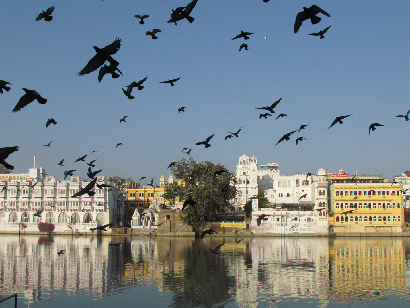 Udaipur