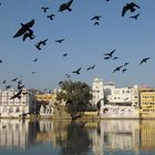 Udaipur