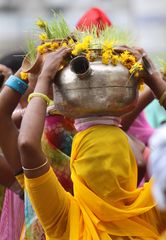Udaipur: Hochzeitsvorbereitungen / Wedding ceremonies