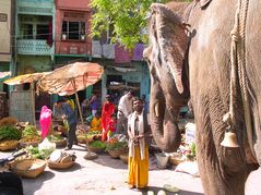 Udaipur-Markt