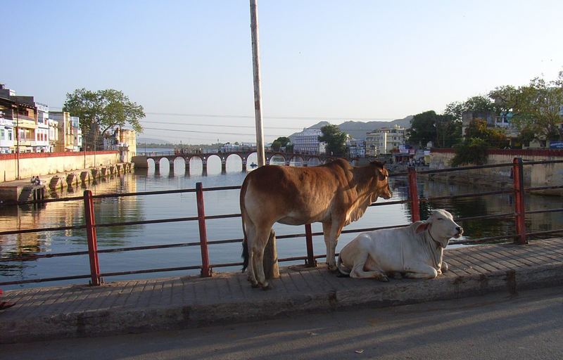 Udaipur nach der Rush Hour